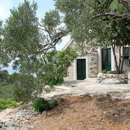 Dom wakacyjny Secluded House Zivogosce - Mala Duba, Makarska - 19811 *